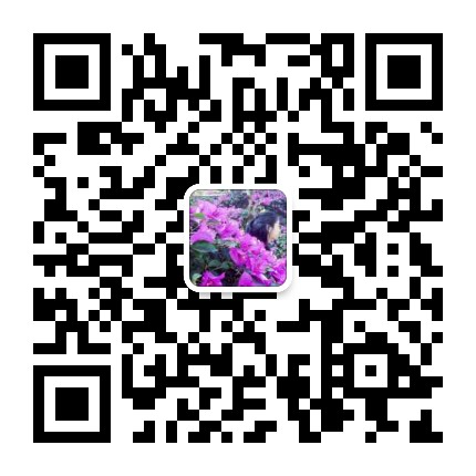 Aquitaine Chandelier